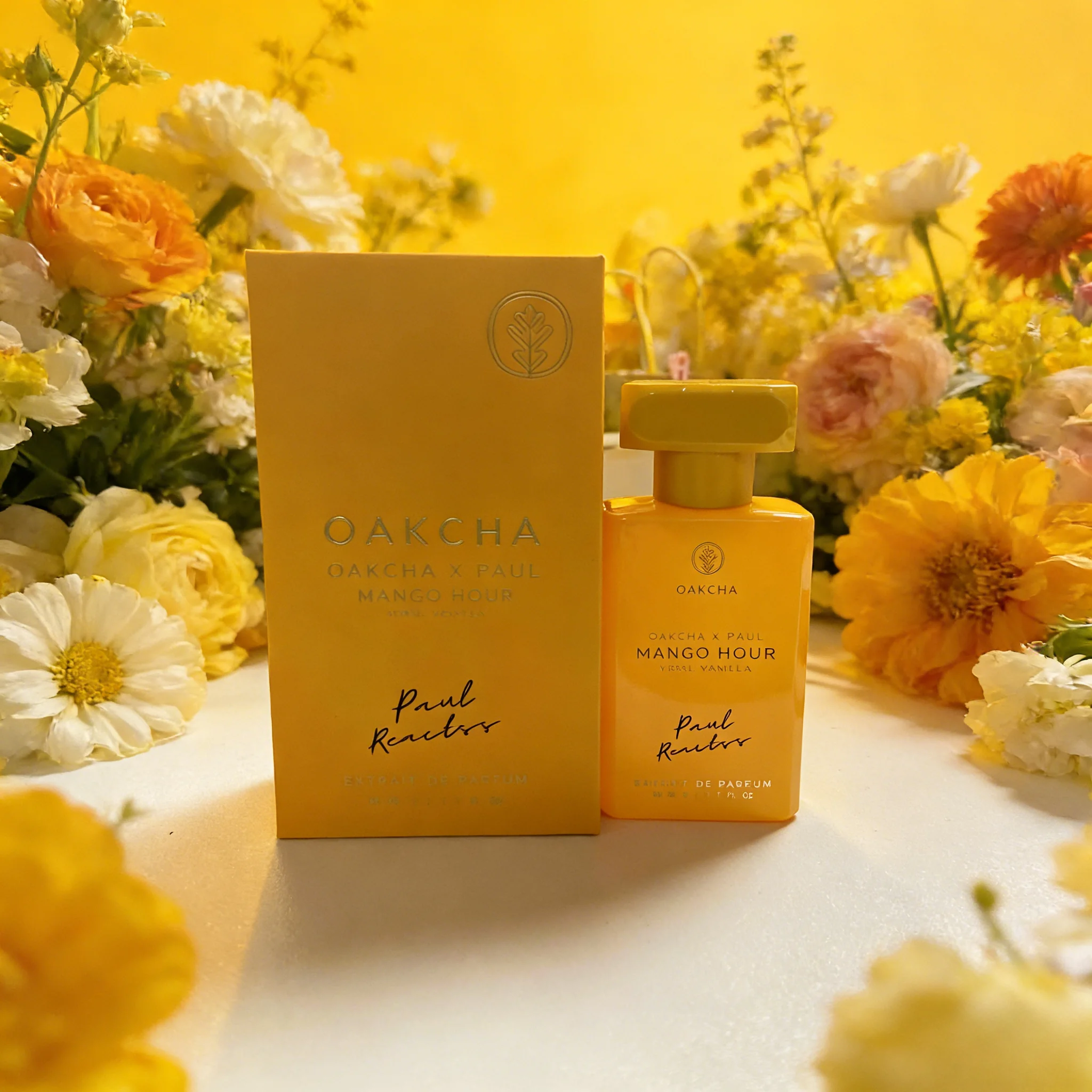 OAKCHA 2PCS Perfume Set for Wo - Perfume Fragrance Discovery Set review and price